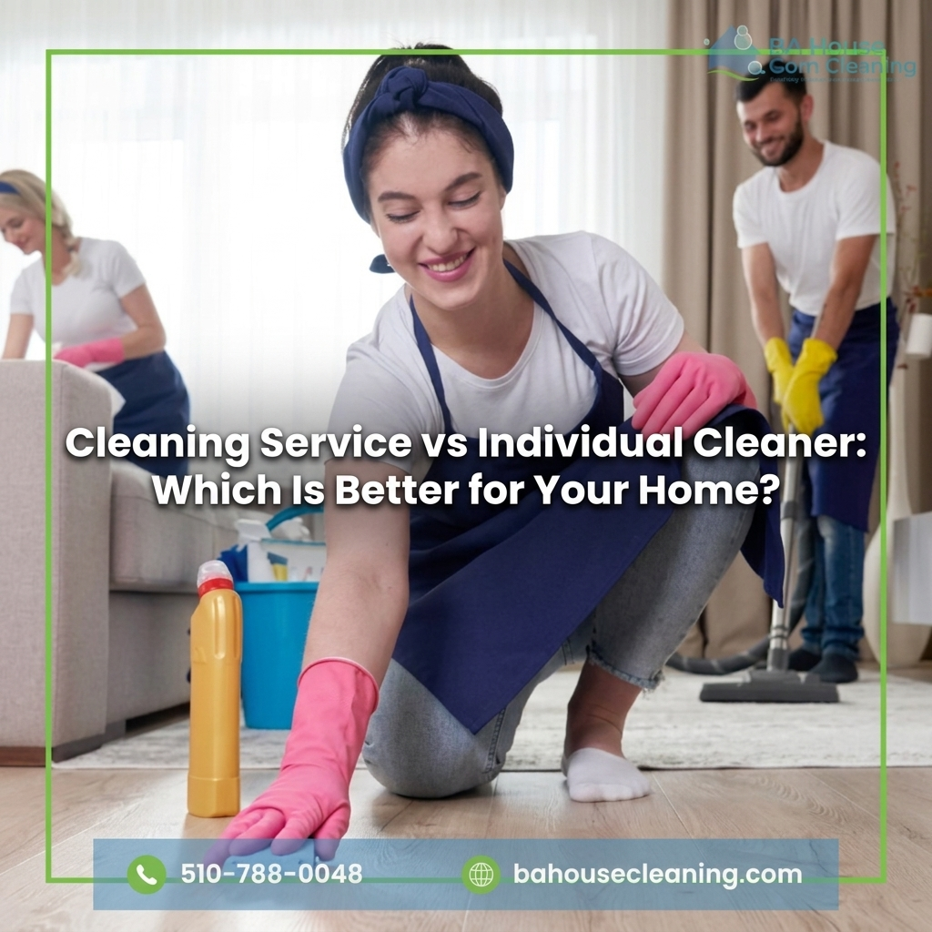 Cleaning Company vs Individual Cleaner