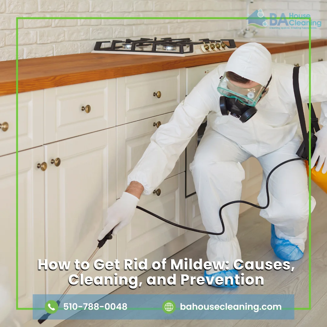 How To Get Rid Of Mildew
