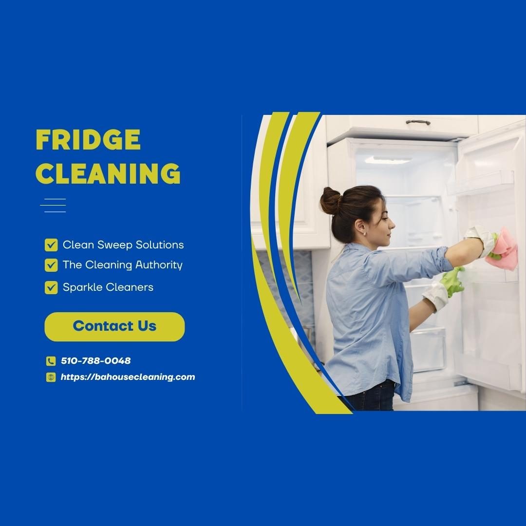 FRIDGE Cleaning