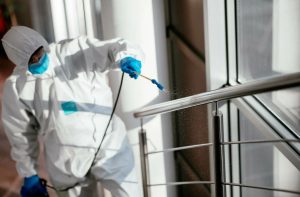 Sanitizing Services Castro Valley