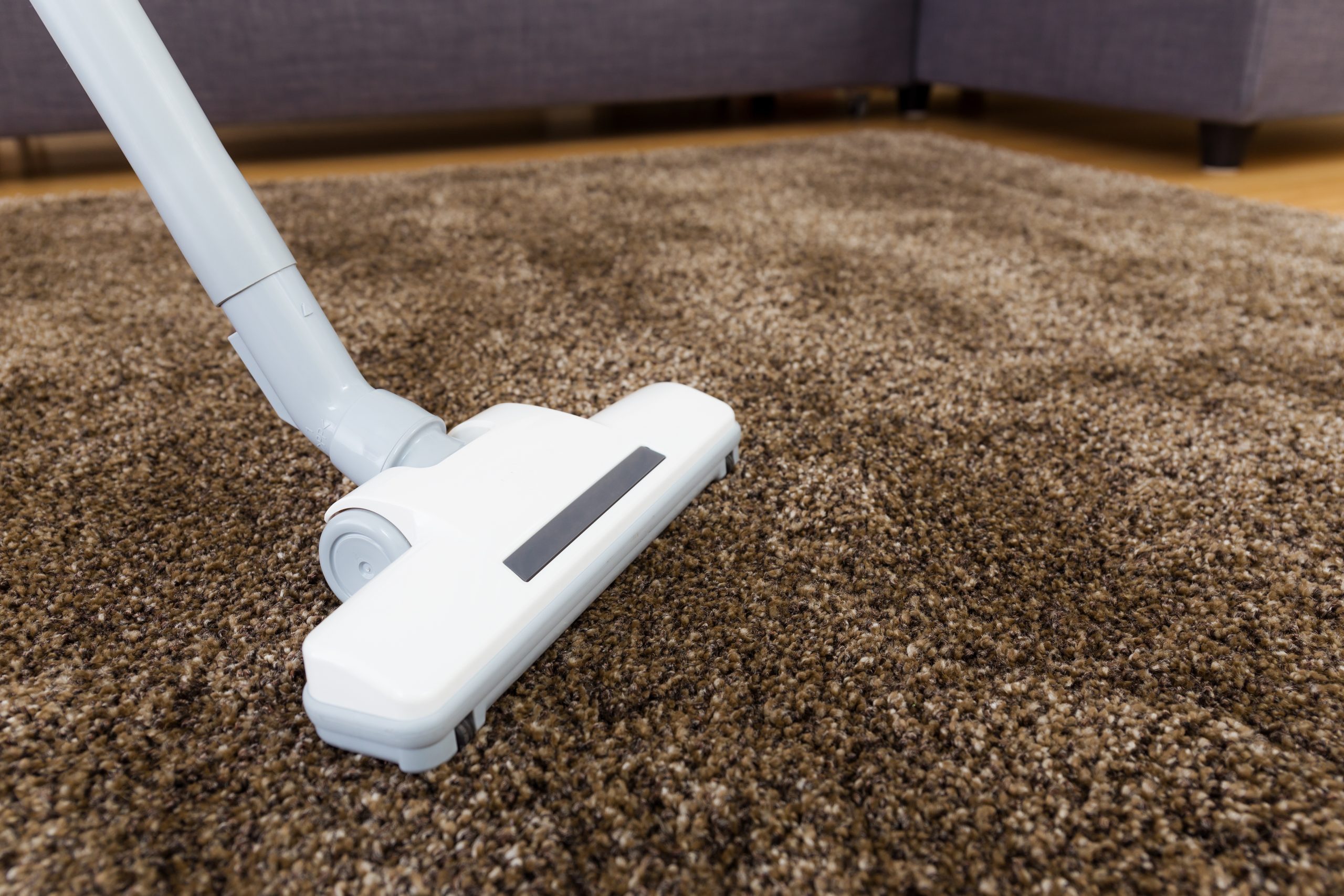 Carpet Cleaning San Lorenzo