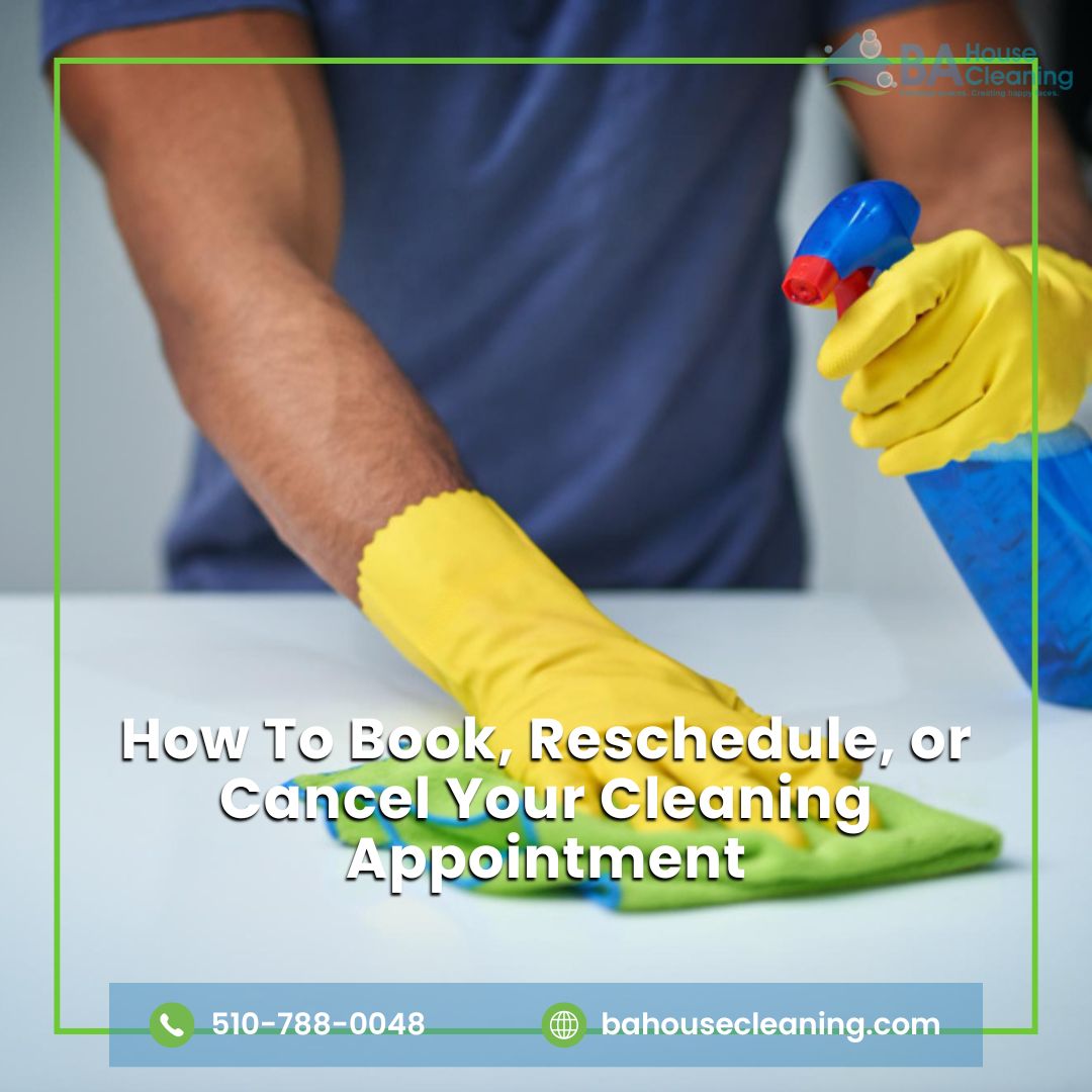 Cleaning Appointment