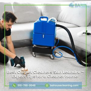 Best Carpet Cleaners San Leandro
