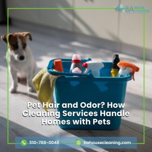 House cleaning pet odors