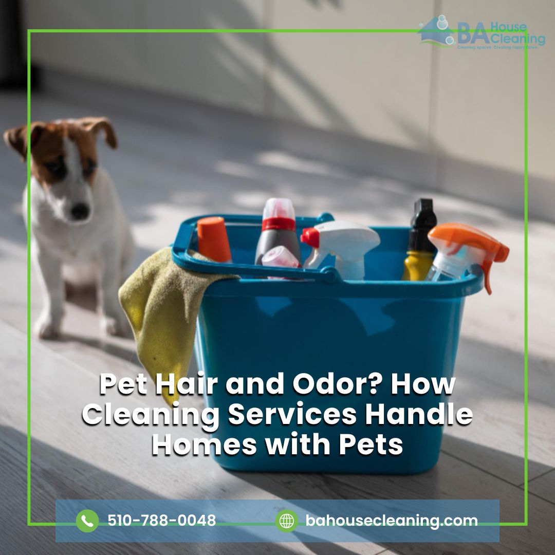 House cleaning pet odors