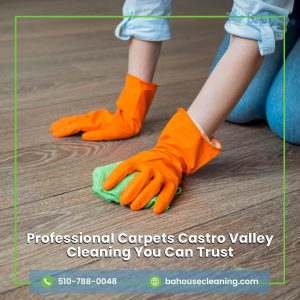 Professional Carpets Castro Valley