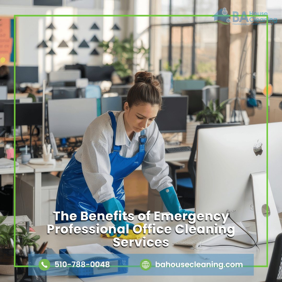 Professional Office Cleaning