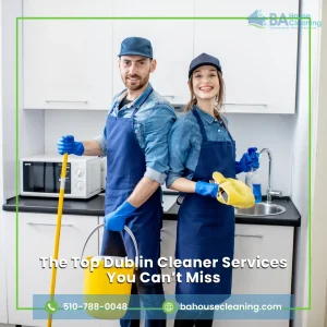 dublin cleaner