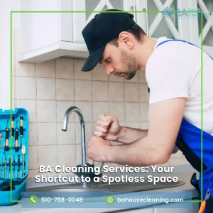 BA Cleaning Services