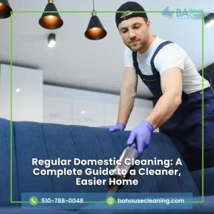 Regular Domestic Cleaning