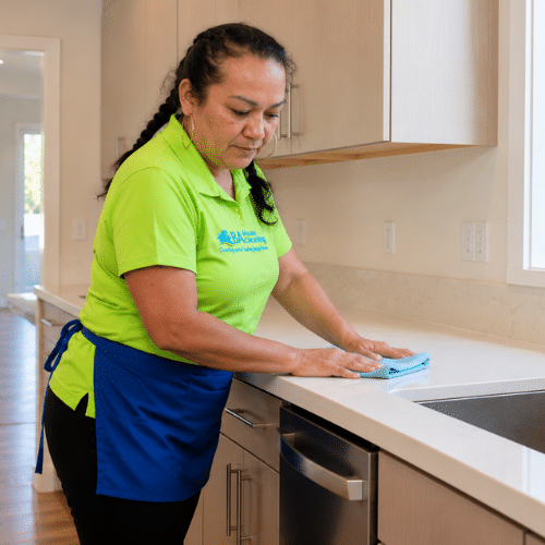 Move Out Cleaning Services